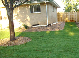 perfect lawn maintained by our Texas City irrigation contractors 
