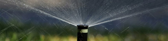 a spray sprinkler close-up view